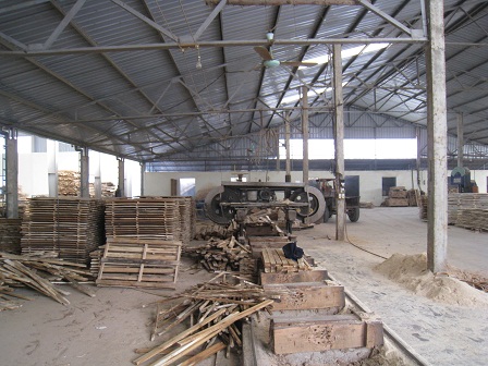 Lâm sản Thăng Long khánh thành xưởng sơ chế gỗ keo tại Yên Bái